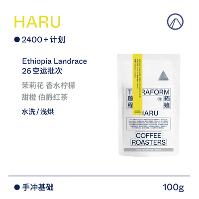 【Terraform】26产季空运批次 2400+计划 埃塞HARU水洗手冲咖啡豆