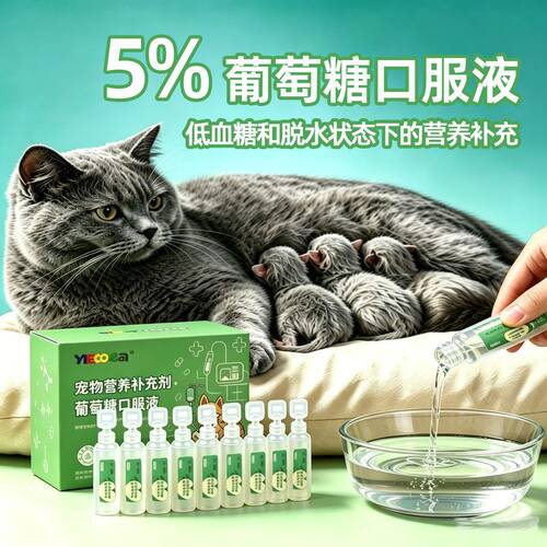 宠物犬猫咪狗狗专用葡萄糖口服液5%浓度含量液体溶剂 非注射液
