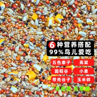 布施鸟粮爱心积福救助鸟食户外通用麻雀斑鸠鸽子小鸟粮独立包装