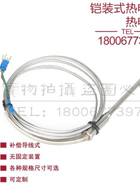 WRNK-191 WRNK-192铠装式热电偶K型温度传感器探针热电偶测温探头