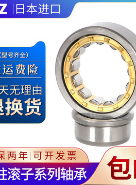进口IVZ 圆柱滚子轴承RN NUP305 306 307 308 309 310 311 312 EM