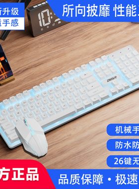 机械手感高颜值键鼠套装女生游戏办公通用电竞鼠标键盘有线104键
