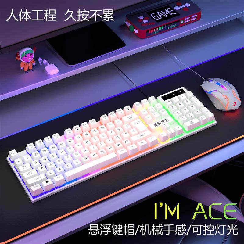 有线键盘鼠标高颜值背光USB游戏电脑台式笔记本悬浮键帽机械手感
