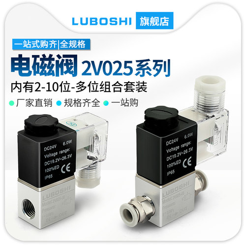 路泊仕2V025电磁阀AC220V/DC24V