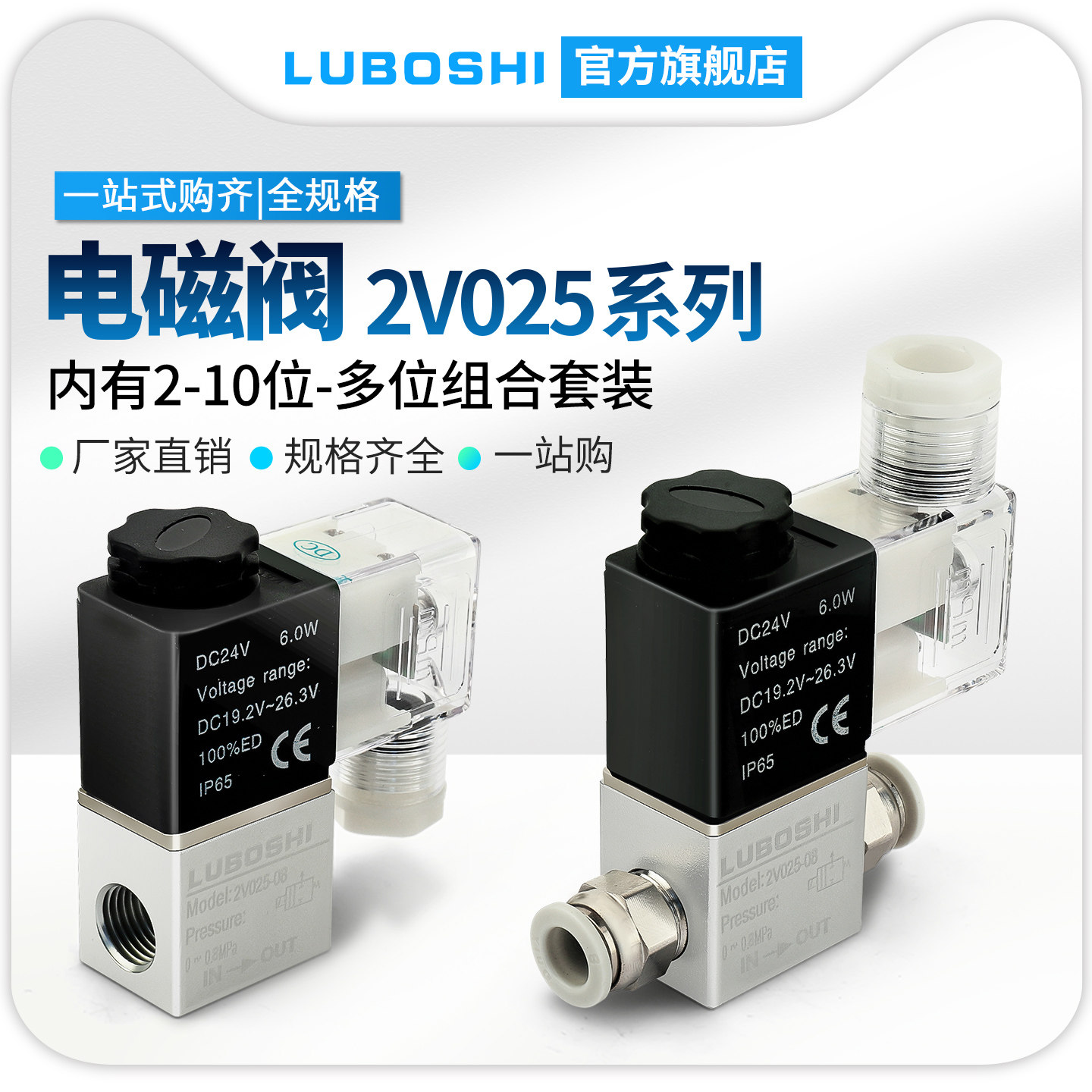 路泊仕2V025电磁阀AC220V/DC24V图片