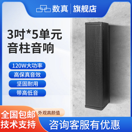 数真线性音柱音响壁挂音箱