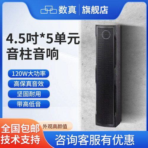 数真线性音柱会议音响壁挂音箱
