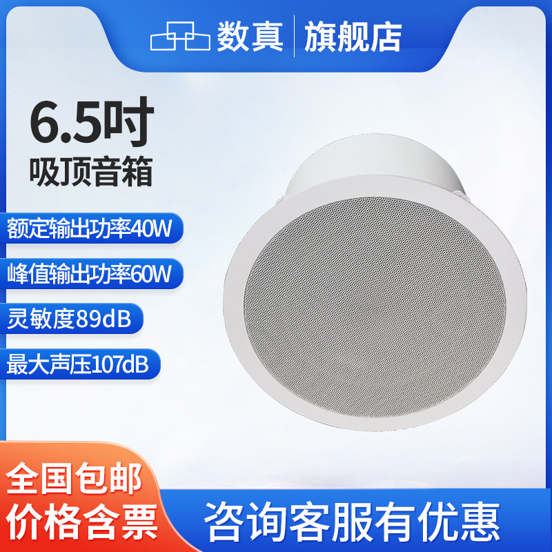 数真6.8吋/8吋吸顶音响会议室公共广播客厅卧室商场消防喇叭天花板扬声器PoE吊顶音箱SZ-C6