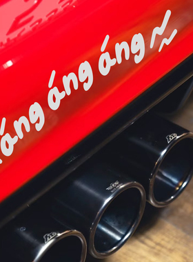 昂昂响angangang思域FK8飞度GK5思铭FD2汽车改装后保险杠装饰贴纸