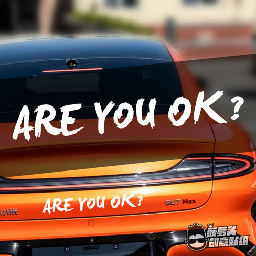 Areyouok？网红汽车英文贴花