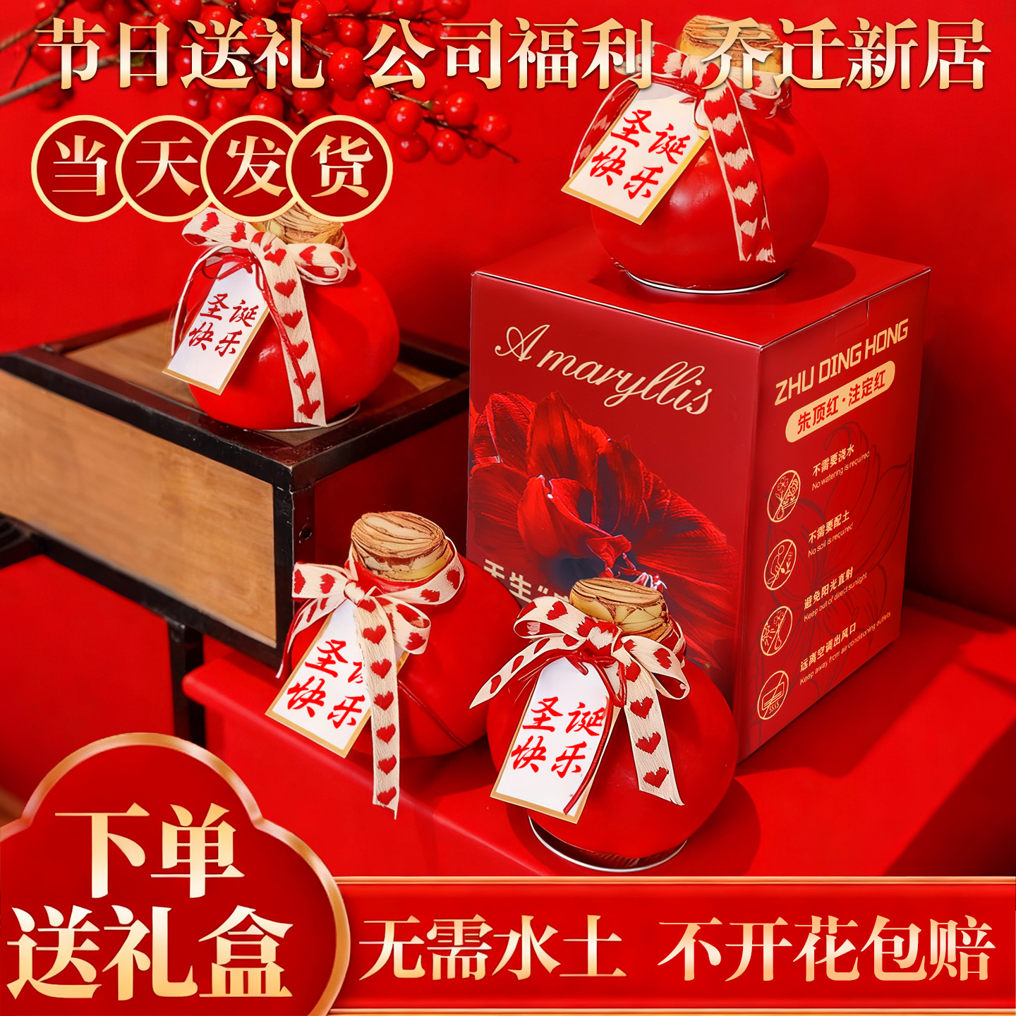 【平台推荐诚信卖家】朱顶红蜡球