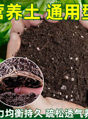 有机营养土通用型土壤种植土养花土种菜土绿萝多肉君子兰兰花土