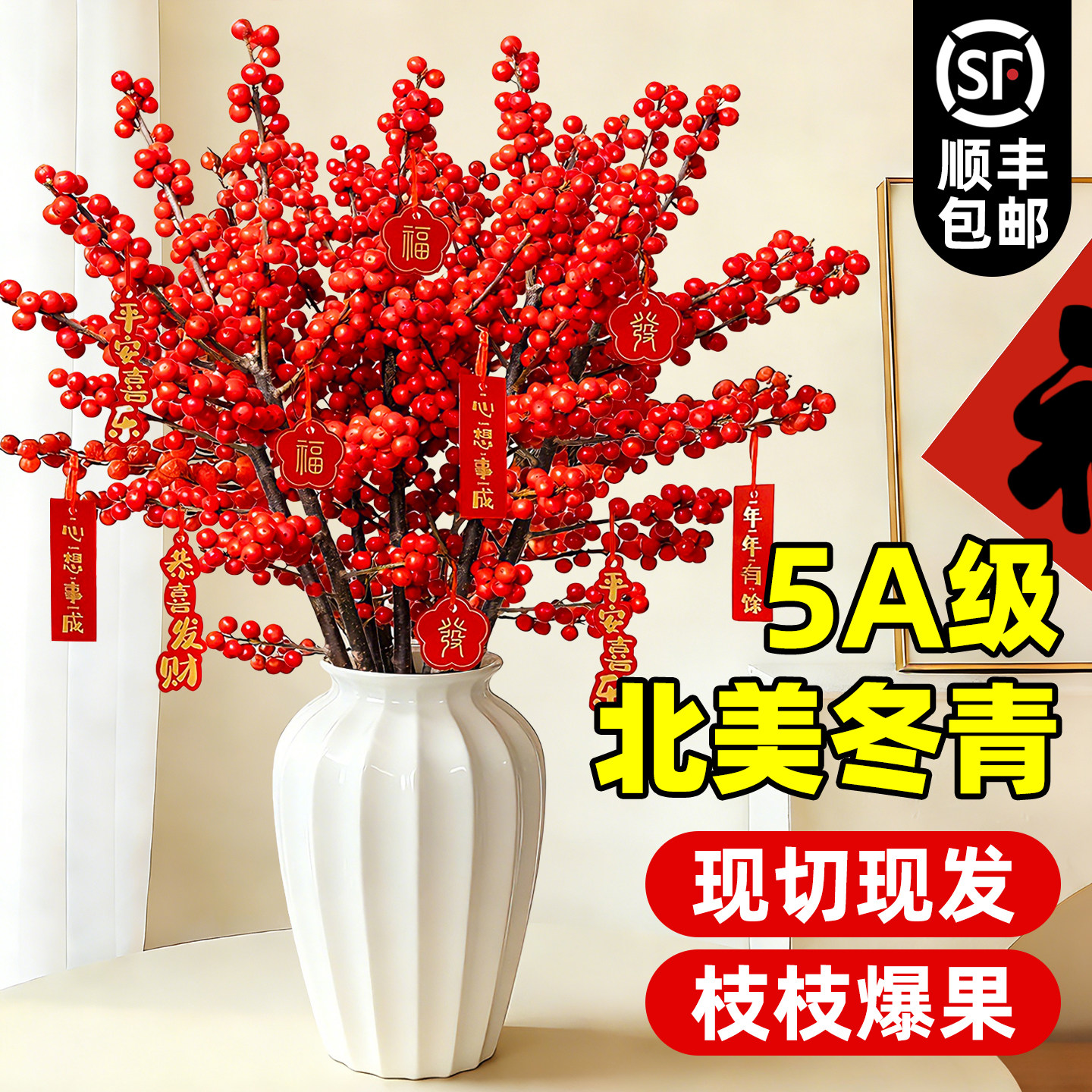 北美冬青红果真花带果水培鲜切植物耐寒室内新年盆栽水养年宵花卉,鲜花速递/花卉仿真/绿植园艺,时令草本花卉,淘宝优惠券,粉丝福利购,淘宝优惠卷