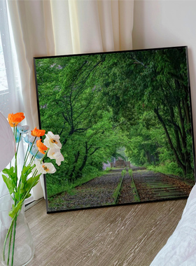 钻石画满钻客厅餐厅卧室小幅绿色森林十字绣2025新款贴手工带框5d