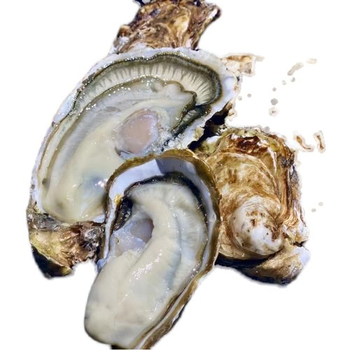 正宗山东威海乳山生蚝鲜活乳山牡蛎乳山特产生蚝带壳10斤装包邮