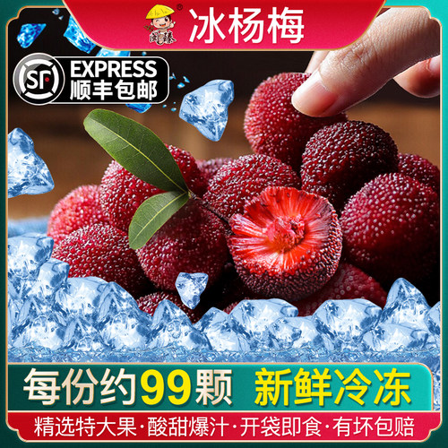 【新鲜冷冻】冰镇杨梅500gx3袋