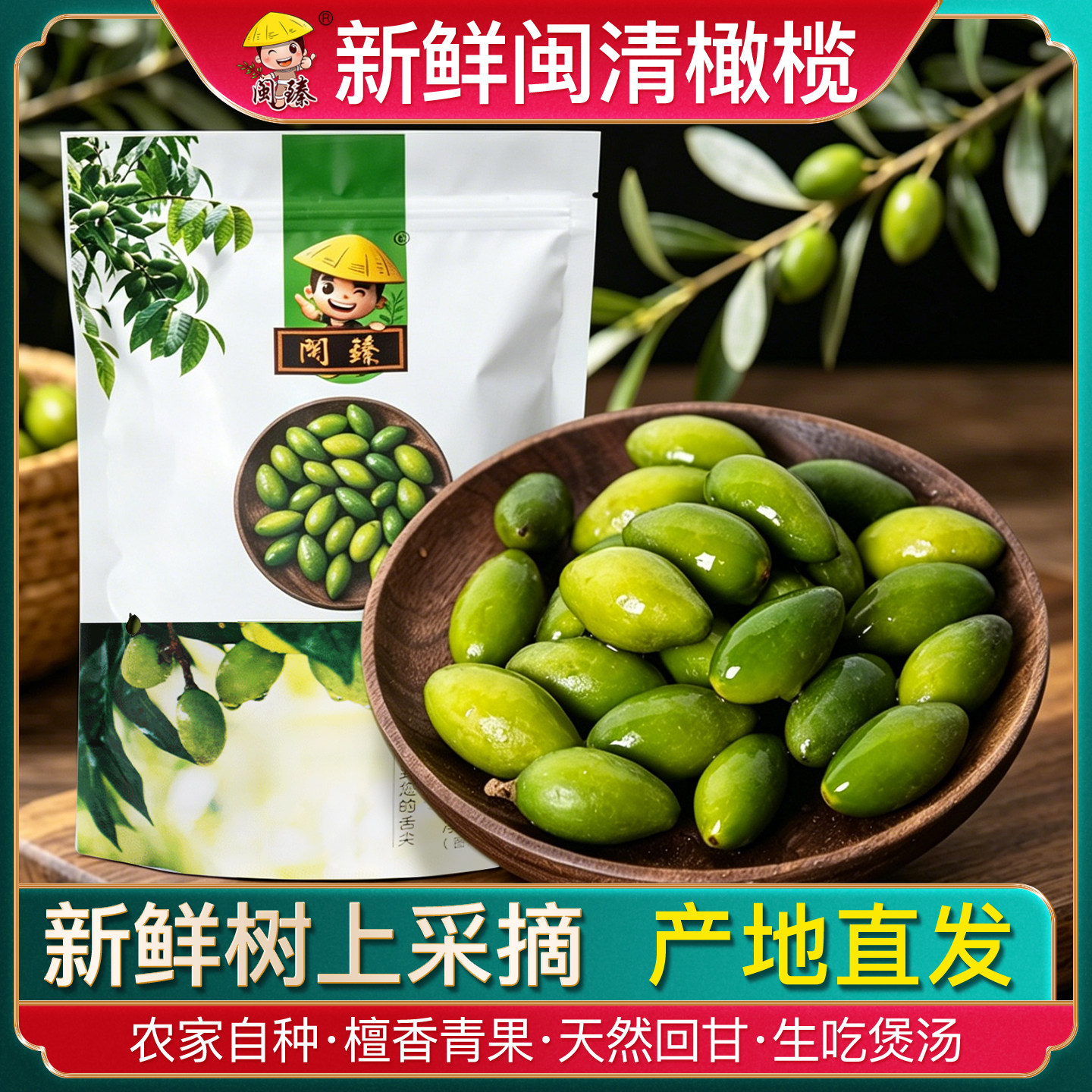 福建特产闽清新鲜橄榄生吃应季水果檀香青果农家树上采摘产地直发