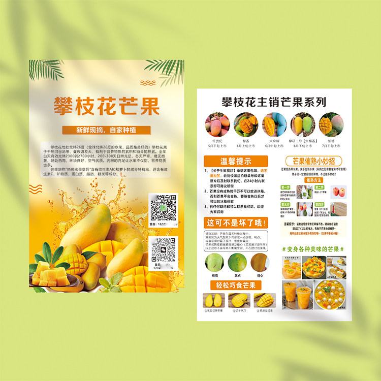 攀枝花芒果台农芒果攀枝花百色芒果宣传单售后食用说明书定制印刷