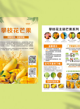 攀枝花芒果台农芒果攀枝花百色芒果宣传单售后食用说明书定制印刷