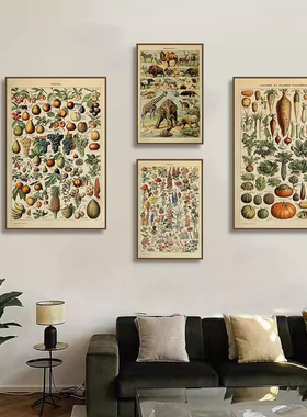 植物标本装饰画复古怀旧蝴蝶昆虫动物远古生物图鉴挂画北欧风壁画