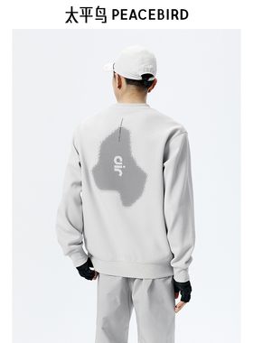 【商场同款】太平鸟男装科技感印花圆领卫衣24秋款上衣B2CRE3171