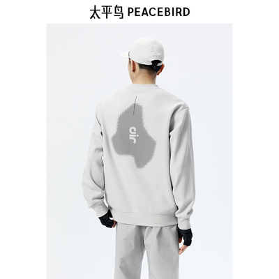 【商场同款】太平鸟男装科技感印花圆领卫衣24秋款上衣B2CRE3171