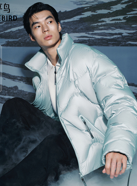 【商场同款】OAMC联名太平鸟男装羽绒服25冬季面包服 B2ACF4525