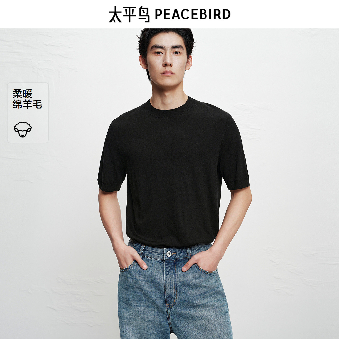 【商场同款】太平鸟男装羊毛短袖T恤冬针织内搭通勤上衣B1EEF4B25