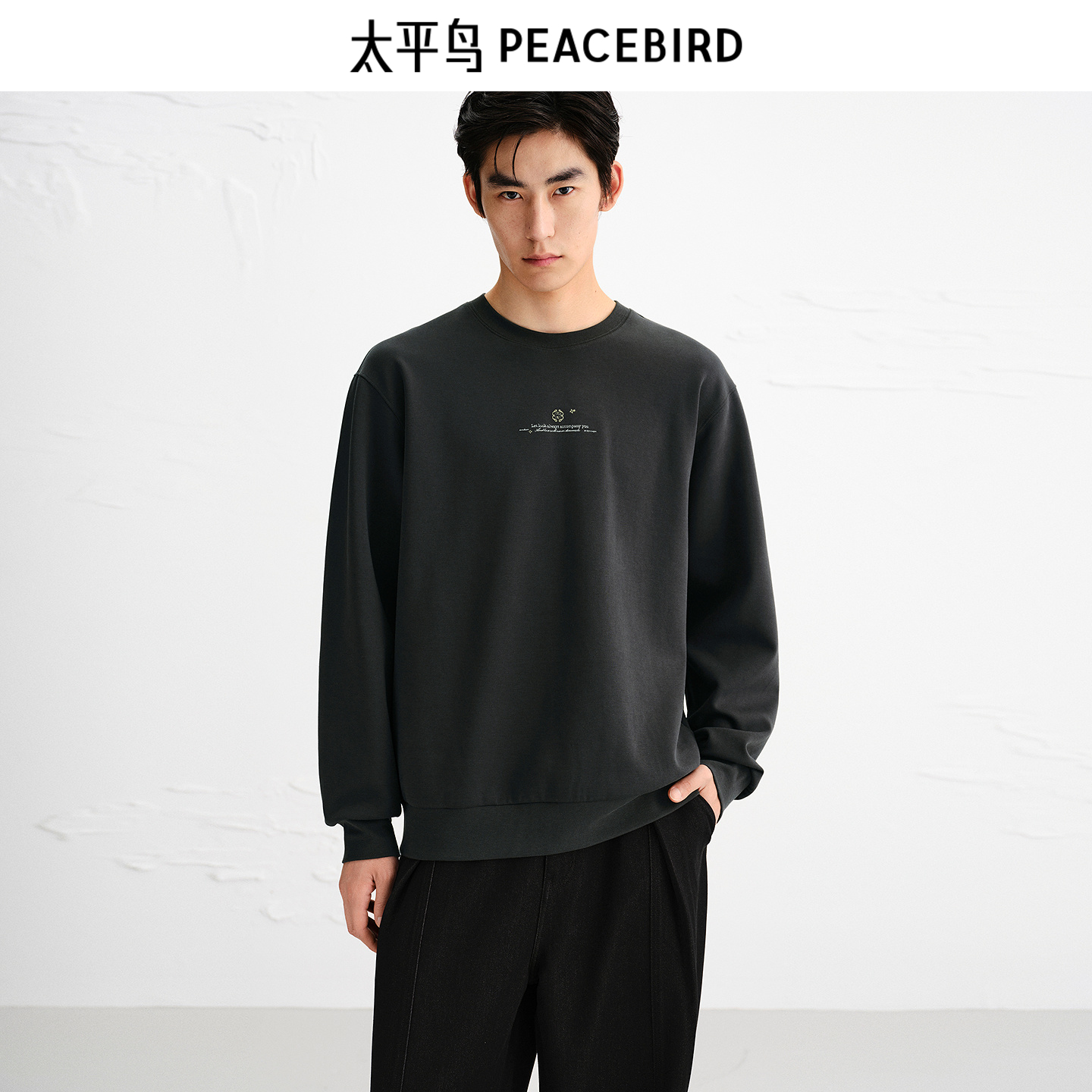 PEACEBIRD/太平鸟套头太平鸟男装