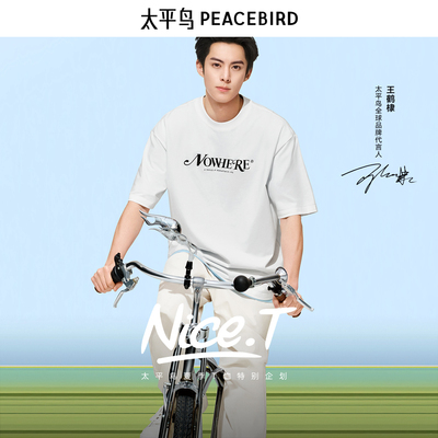 【王鹤棣同款】太平鸟男装 NiceT夏季新款潮流短袖T恤B2CNE21