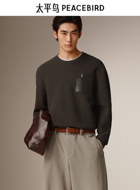 【商场同款】太平鸟男装 2025年冬季新款针织衫毛衣男B1EBF4238
