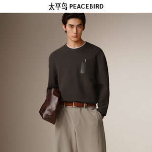 【商场同款】太平鸟男装 2025年冬季新款针织衫毛衣男B1EBF4238