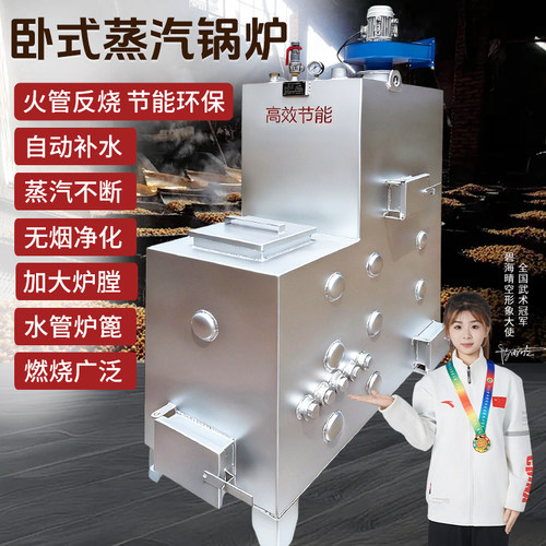 卧式反烧锅炉酿酒煮豆浆养猪