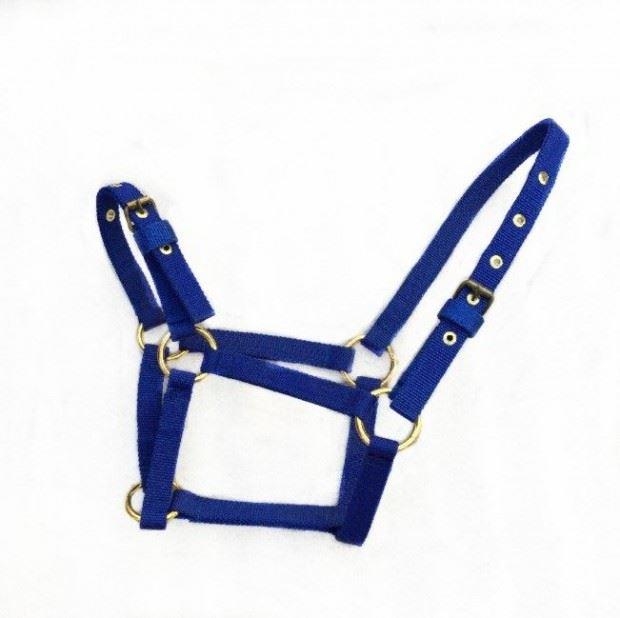 Sub-ngựa Ma Jing phụ kiện cưỡi ngựa Malaysia ngựa pony vòi v ngựa cầu ngựa - Nguồn cung cấp ngựa & ngựa yên ngựa cao cấp