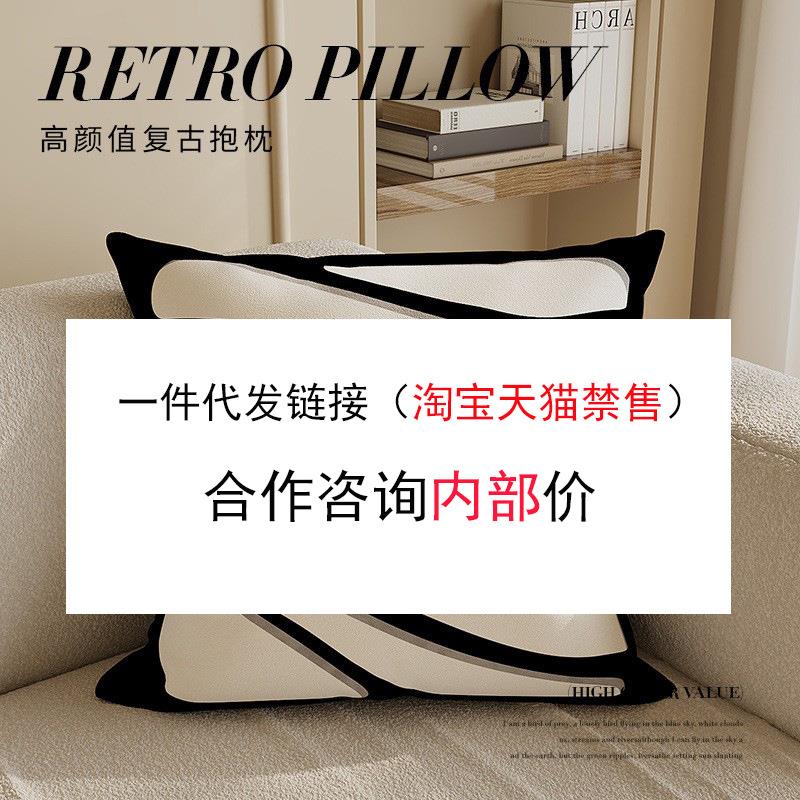 轻奢高级感黑白抽象艺术现代简约抱枕客厅沙发样板间靠枕热卖新款