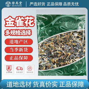 金雀花中药材正品新货别名锦鸡儿花阳雀花