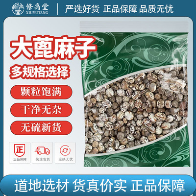 蓖麻子新货蓖麻籽正品中药材红大麻子蓖麻仁大蓖麻子