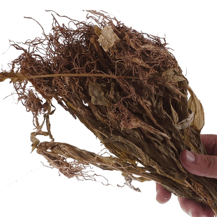 见血清250g-1000克中药材无硫新货整颗见血青羊耳蒜中草药店铺