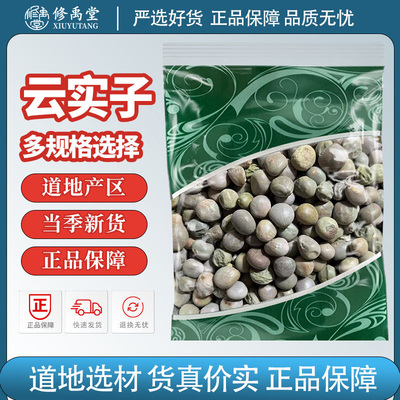 云实子中药擦正品大托叶云实籽马豆朝天子药王子云实