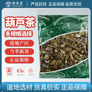 葫芦茶中药材别名牛虫草迫颈草田刀柄咸鱼草