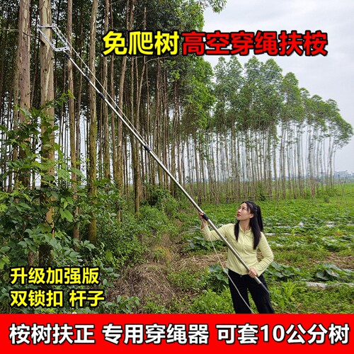 高空快速穿绳扶桉树绑线拉直神器