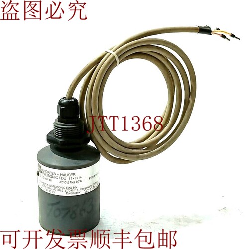 原装供应Endress + Hauser 触点传感器 PROSONIC Fdu 80-JG1A