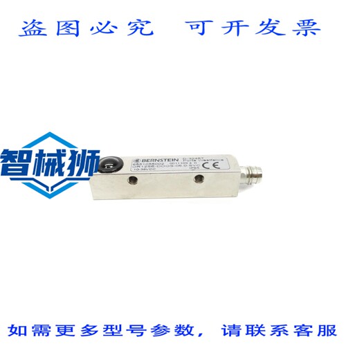 现货供应 伯恩斯坦 OR12SE-DOOS-06.0-SVC 6551055002 10-36VDC N