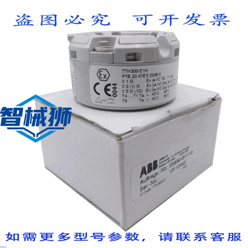 原装供应 TTH300-E1 温度变送器 209391911/10
