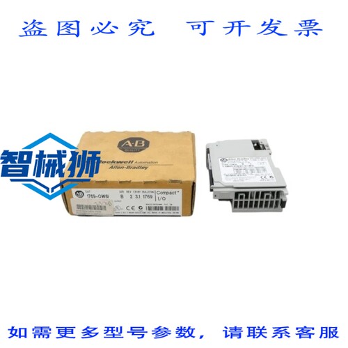 现货供应 罗克韦尔AB 1769-OW8I SER.BF/W 3.1 24VDC REV.2 NSMP