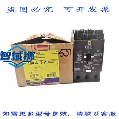 现货供应 EDB34100 277V 100A NSMP