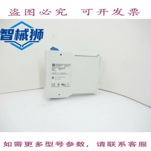 现货供应 TMT121-A31BB-ENDRESS+HAUSER ITEMP 温度变送器