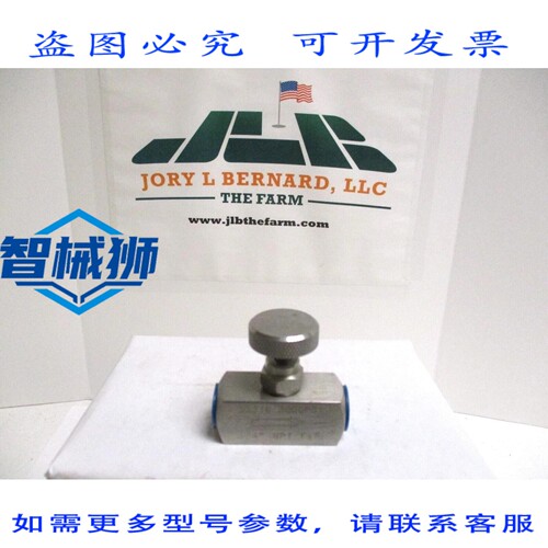 原装供应 J-HAWK 1/4 FNPT 调节阀 NV-06 3000 PSI 余压