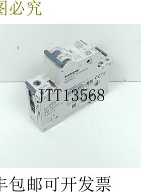 支架支架 5SY6110-7 MCB C10 + 5ST301AS 状态