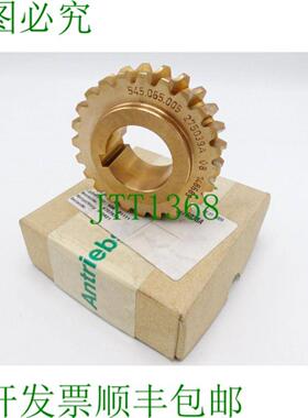 亚特兰大驱动元件 545065005 275039A 148689 蜗轮